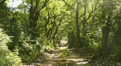Lila Yoga | Cours de yoga & bien-être en Gironde